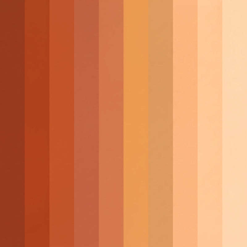 Rust & Orange Rugs