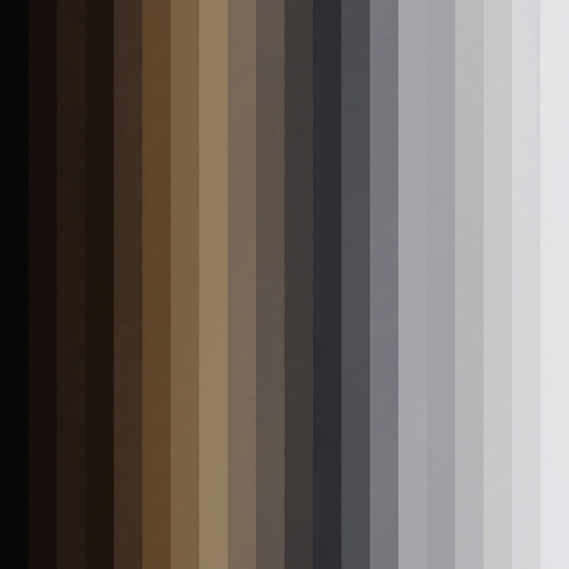 Brown Black & Gray Rugs