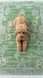 Mustard Yellow Oushak Hand-Knotted Wool Rug – Custom Made